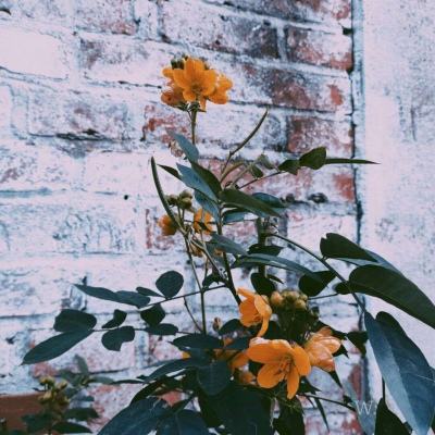 消防车城市试驾